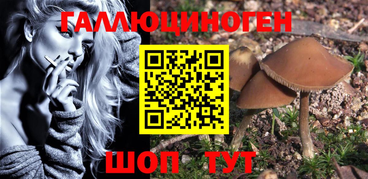 Галлюциногенные грибы Psilocybe  Вход с VPN  Галлюциногенные грибы MAGIC MUSHROOMS  Шали 