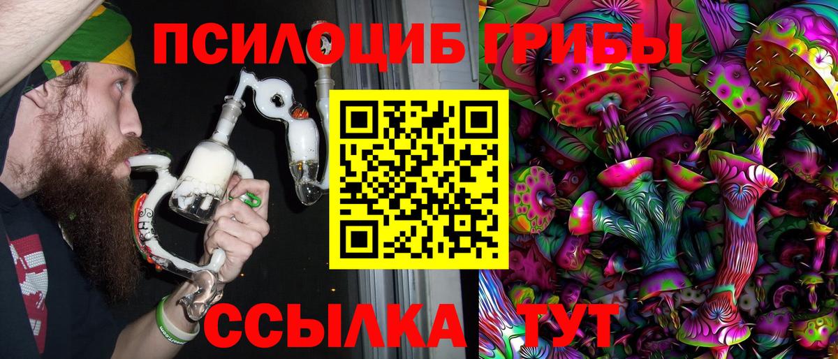 Псилоцибиновые грибы Psilocybe Шали